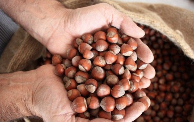 azerbaycana-mexsus-22-ton-findiq-rusiyada-saxlanildi